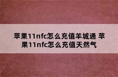 苹果11nfc怎么充值羊城通 苹果11nfc怎么充值天然气